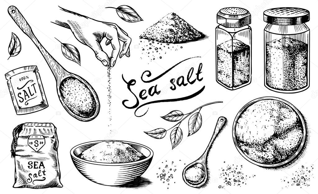 Sea salt set. Glass bottles, packaging and and leaves, wooden spoons, powdered powder, spice in the hand. Vintage background poster. Engraved hand drawn sketch. 