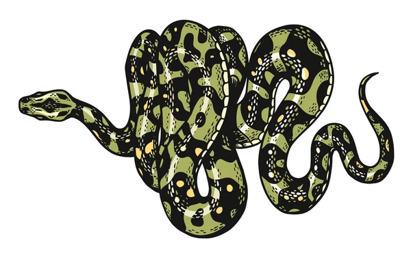 Orm i vintagestil. Ormkobra eller python eller giftig huggorm. Graverad handritad gammal reptil skiss för Tattoo. Anaconda för dekaler, logotyper eller t-shirts. — Stock vektor