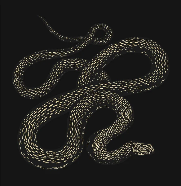 Python en estilo Vintage sobre fondo negro. Serpiente o serpiente víbora venenosa. Dibujo de reptil viejo dibujado a mano grabado para tatuaje, etiqueta engomada o logotipo o camisetas . — Archivo Imágenes Vectoriales