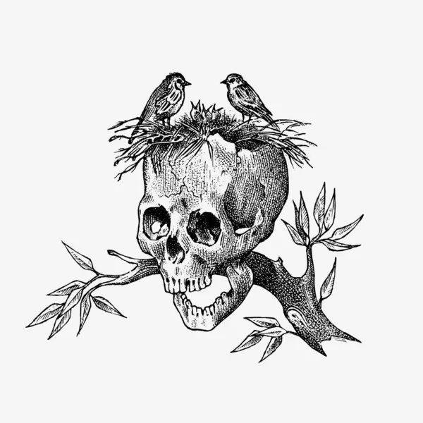 鳥のいる枝に人間の頭蓋骨。ヴィンテージスタイルのタトゥーのためのレトロな古い学校のスケッチ。死者の日のモノクロームのシンボル。手描きTシャツ、バナー、ポスターやロゴのためのレトロなバッジを刻印. — ストックベクタ