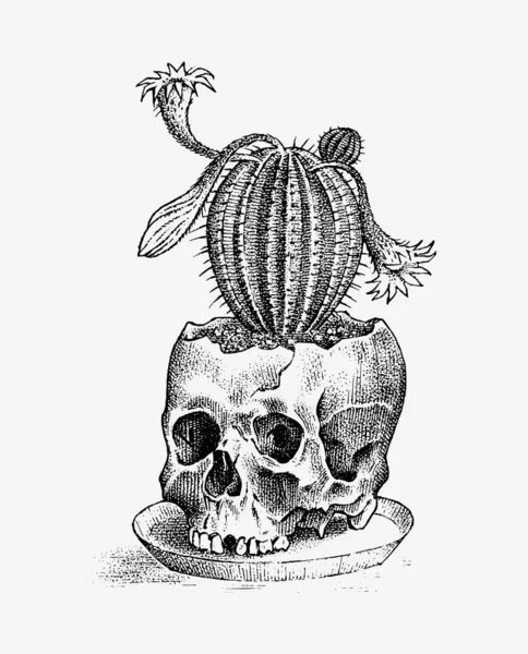 Ludzka czaszka z kaktusem. Retro szkic starej szkoły do tatuażu w stylu vintage. Symbol monochromatyczny. Ręcznie rysowana grawerowana odznaka retro na koszulkę, baner, plakat i logo. — Wektor stockowy