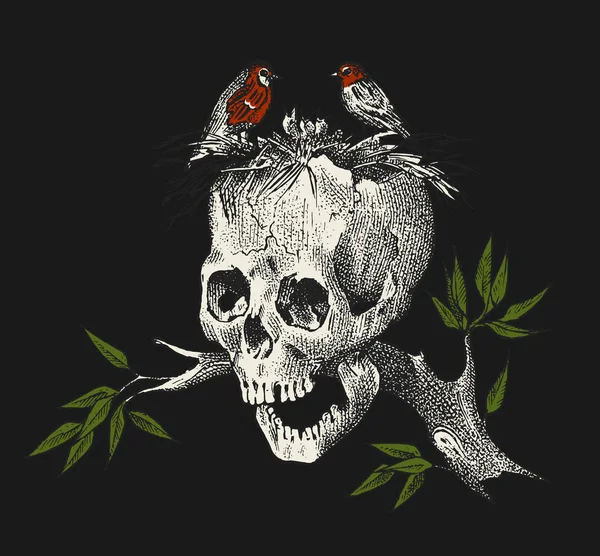 Menselijke schedel op een tak met vogels op een zwarte achtergrond. Retro old school schets voor tattoo in vintage stijl. Handgegraveerde retro badge voor t-shirt, banner, poster en logo. — Stockvector