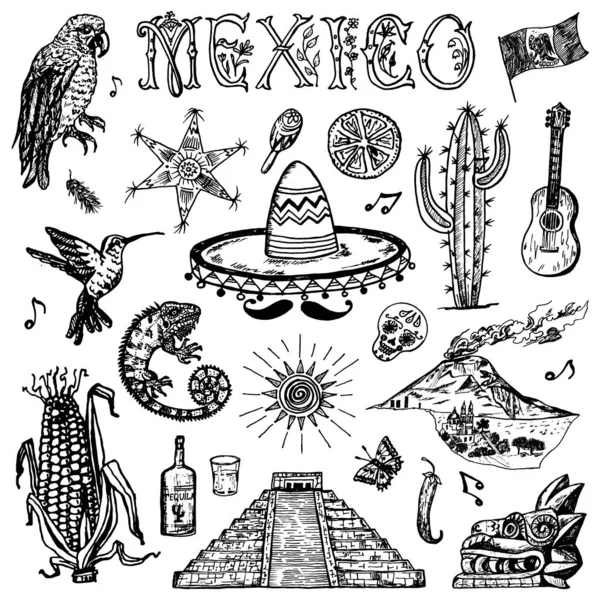 Mexiko im Vintage-Stil. Tracht einer Frau, Tiere, Pflanzen und Musikinstrumente. gravierte handgezeichnete Skizze. — Stockvektor