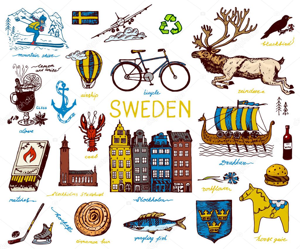 Symbols of Sweden in vintage style. Retro sketch with traditional signs. Scandinavian culture, national entertainment in European country. Ecology and processing, bicycle and animals, winter and cold.