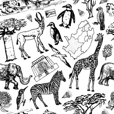 Afrika klasik, kusursuz desenli arka plan karalıyor. Safarideki vahşi hayvanlar beyaz arka planda izole edilmiş. Zürafa ve zebra, harita ve kuşlar. El çizimi çizim.