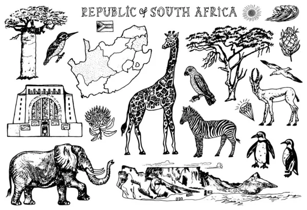 Ensemble vintage Africa doodle. Animaux sauvages en safari isolé sur fond blanc. Girafe et zèbre, carte et oiseaux. Dessin à la main . — Image vectorielle