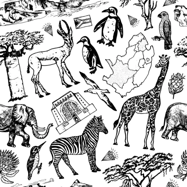 África doodle vintage Padrão sem costura fundo. Animais selvagens em safári isolados em fundo branco. Girafa e zebra, mapa e pássaros. Desenho desenhado à mão . — Vetor de Stock