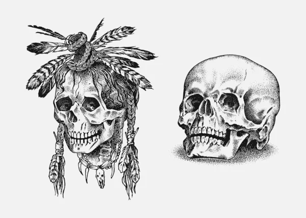 Calavera humana. Indio nativo americano muerto con plumas en estilo vintage. Retro sketch de la vieja escuela para el tatuaje. Monocromo Placa retro grabada a mano para camiseta, póster y logotipo . — Archivo Imágenes Vectoriales