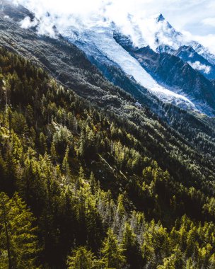 Chamonix-Mont-Blanc 'taki dağ zirveleri. Fransa. Fransız Alpleri, güzel ağaçlar. Ulusal park.