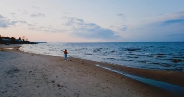 Одинока дівчина йде на пляжі біля Північного моря. Похмуре небо і холодна блакитна атмосфера. Озеро Місті в старовинному скандинавському стилі. Ладога в Ленінградській області, Росія. Вид з повітря на морський мис. 4k польоту — стокове відео