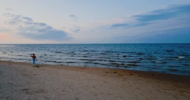 Una chica solitaria camina por la playa junto al mar del Norte. Cielo sombrío y fría atmósfera azul. Misty Lake en estilo escandinavo vintage. Ladoga en el óblast de Leningrado, Rusia. Vista aérea del paisaje marino. 4K volando — Vídeo de stock