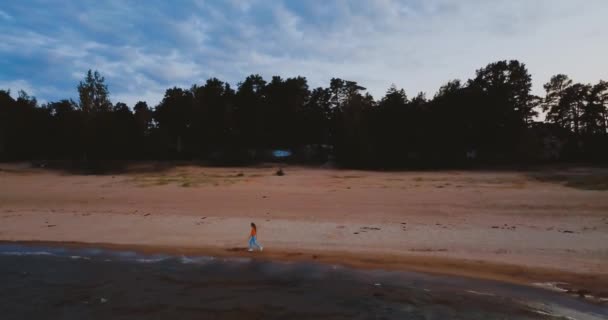 Stara aktywna latarnia. Przygnębiające niebo i zimna niebieska atmosfera. Plaża, północne mgliste morze w stylu skandynawskim. Osinovetsky Światło. Jezioro Ladoga w obwodzie leningradzkim. Widok z lotu ptaka. 4k latanie — Wideo stockowe