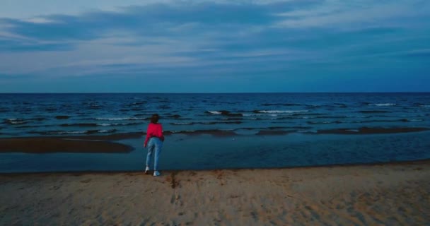 Uma menina solitária caminha na praia junto ao mar do Norte. Céu sombrio e atmosfera azul fria. Misty Lake em estilo escandinavo vintage. Ladoga no Oblast de Leningrado, Rússia. Vista aérea da paisagem marinha. Voando 4K — Vídeo de Stock