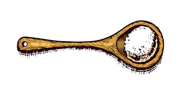 Дерев'яна ложка з морською сіллю. Порошковий порошок і купа насіння. Вінтажний фоновий плакат. Гравірований ескіз ручної роботи . — стоковий вектор