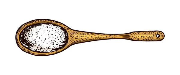 Wooden spoon with Sea salt. Powdered powder and bunch of seeds. Vintage background poster. Engraved hand drawn sketch. — 스톡 벡터