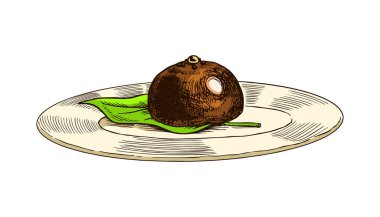 Tatlı veya Japon Geleneksel Pastası. Matcha yeşil çayına servis edildi. Sağlıklı hindistan cevizi sütlü latte. Poster için oyulmuş el çizimi Vintage çizimi.