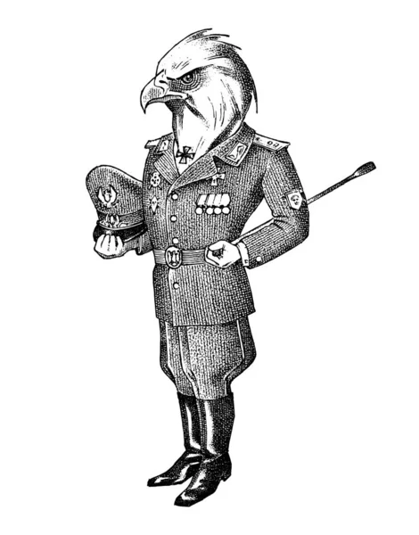 White-headed eagle man in military uniform. Hand drawn fashionable cockerel. Engraved old monochrome sketch. Mythical fictional creature in hipster style. — 스톡 벡터