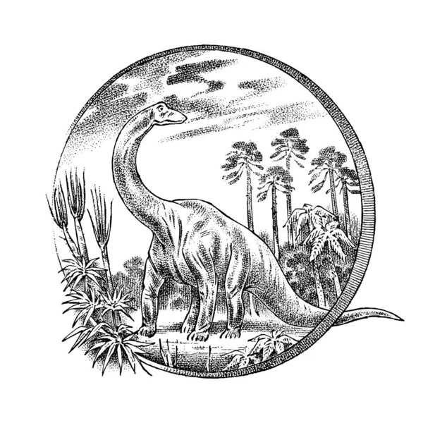 Paysage vintage avec un dinosaure dans la forêt tropicale. Ancien modèle rétro pour logo ou étiquette. Croquis monochrome gravé à la main. Illustration vectorielle — Image vectorielle