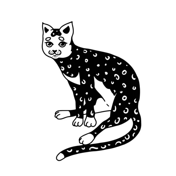 Sitzende Katze. Miauen. Niedliches Haustier. handgezeichnete gravierte Kitty-Skizze für Logo oder Etikett oder Banner oder T-Shirt. Monochrome Vektorillustration im Vintage-Doodle-Stil. — Stockvektor