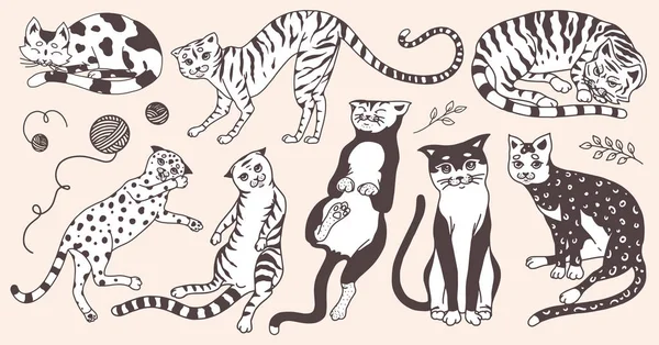 Colección de gatos. Lavando, jugando y durmiendo animales. Lindo gatito doméstico divertido. Dibujo grabado a mano para pancarta o camiseta. Ilustración vectorial monocromática en estilo doodle vintage — Vector de stock