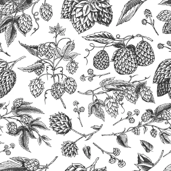 Hops and Barley Seamless pattern. Malt Beer. Engraved vintage Hand drawn collection. Sketch for web or pub menu, poster or banner. Design elements isolated on white background.