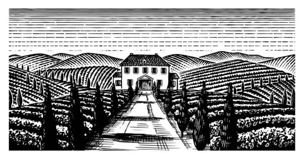 Scenic view of vineyards. Wide panoramic vine plantation in Chianti. French or Italian engraved landscape. Fields and hills of Tuscany. Hand drawn monochrome vintage horizontal sketch. — Stock Vector