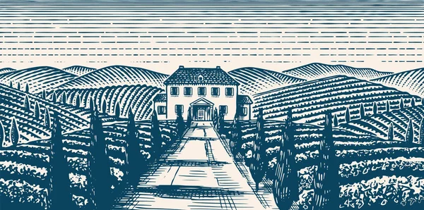 Scénický pohled na vinice. Široká panoramatická plantáž révy v Chianti. Francouzská nebo italská rytá krajina. Pole a kopce Toskánska. Ručně kreslený monochromatický vodorovný náčrt. — Stockový vektor