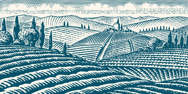 Pole a kopce Toskánska. Scénický pohled na vinice. Široká panoramatická plantáž révy v Chianti. Francouzská nebo italská rytá krajina. Ručně kreslený monochromatický vodorovný náčrt. — Stockový vektor