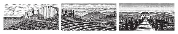 ブドウ畑のセット。トスカーナのフィールドと丘。景色。キアンティの広いパノラマブドウ畑のプランテーション。フランス語またはイタリア語の彫刻風景。手描きモノクロヴィンテージ水平スケッチ. — ストックベクタ