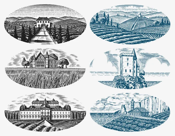 Vineyards Set. Plantación de vid para etiquetas de botellas. Vista panorámica del paisaje grabado francés o italiano. Montañas Campos rurales Wheat Hills Bosquejo vintage dibujado a mano para el alcohol, póster de cerveza de whisky . — Archivo Imágenes Vectoriales