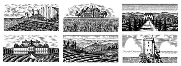 Vineyards Set. Plantación de vid para etiquetas de botellas. Vista panorámica del paisaje grabado francés o italiano. Montañas Campos rurales Trigo Hills. Bosquejo vintage dibujado a mano para el alcohol, cartel de cerveza de whisky . — Vector de stock