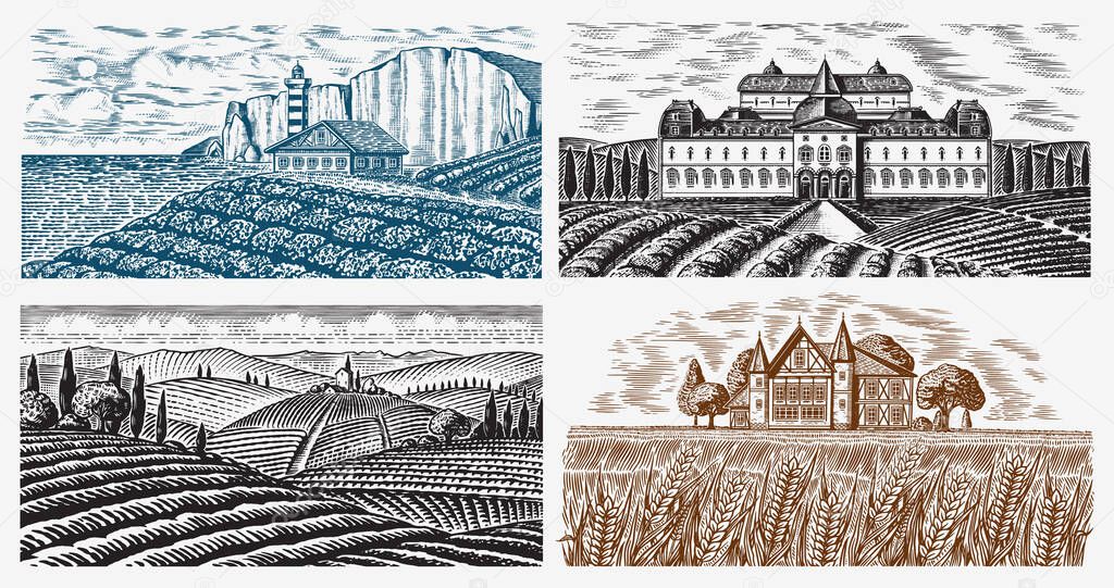 Vineyards Set. Vine plantation for bottle labels. Scenic view of French or Italian engraved landscape. Mountains Rural Fields Wheat Hills. Hand drawn vintage sketch for alcohol, whiskey beer poster