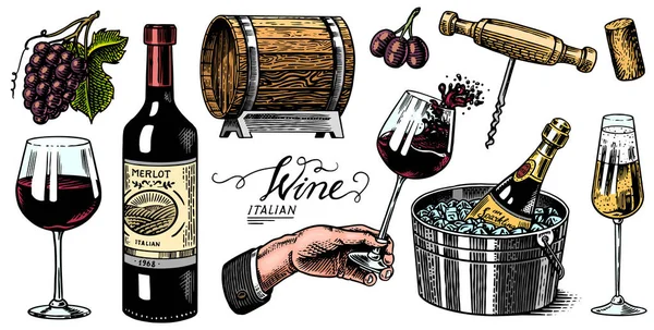 Wine set. Alcoholic drink in the hand. Sparkling champagne, bottle and glass Cheers, ice bucket, wooden barrel. Grapes Corkscrew Olives Cork. Drawn engraved sketch for bar, restaurant menu. — Stock Vector