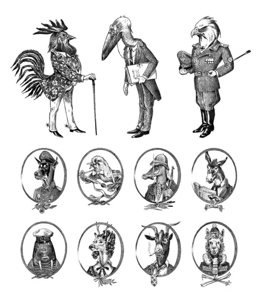 Animal characters set. Bald eagle Rooster Stork Walrus Crocodile Goat Dog Donkey Alpaca Llama Deer. Hand drawn portrait. Engraved monochrome sketch for card, label or tattoo. Hipster Anthropomorphism. — 스톡 벡터