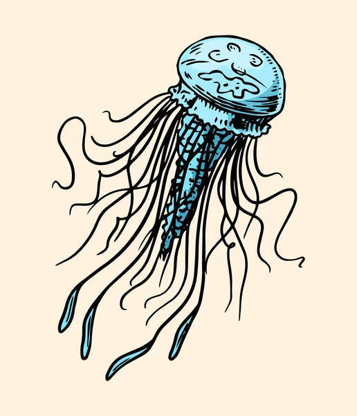 Des méduses de mer. Méduse nautique ou marine, gelée de mer océanique aux tentacules. Croquis retro monochrome gravé à la main. Illustration vectorielle pour tatouage ou emblèmes . — Image vectorielle