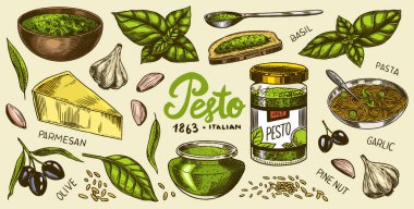 Pesto sosu seti. Fesleğen yaprağı, sarımsak, çam fıstığı, parmesan peyniri, zeytin yağı, pesto alla genovese. Baharatlı sos, cam şişe, tahta kaşık ya da tabak, bir sürü tohum. Oymalı el çizimi çizimi.
