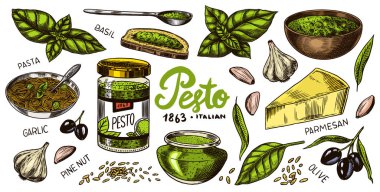 Pesto sosu seti. Fesleğen yaprağı, sarımsak, çam fıstığı, parmesan peyniri, zeytin yağı, pesto alla genovese. Baharatlı sos, cam şişe, tahta kaşık ya da tabak, bir sürü tohum. Oymalı el çizimi çizimi.