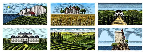 Vineyards Set. Plantación de vid para etiquetas de botellas. Vista panorámica del paisaje grabado francés o italiano. Montañas Campos rurales Trigo Hills. Bosquejo vintage dibujado a mano para el alcohol, cartel de cerveza de whisky . — Vector de stock