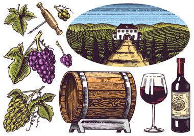 Üzüm bağı ve şarap seti. Üzüm ve tahta fıçı. Şişe etiketleri için asma fidanı. Oymalı peyzaj. Alkol posteri, bar ve restoran menüsü için el yapımı eskiz.