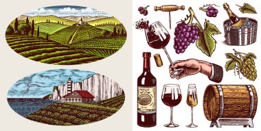 Üzüm bağı ve şarap seti. Köpüklü şampanya, şişe ve bardak şerefe, buz kovası, tirbuşon üzümler, ahşap fıçı. Asma etiketleri. Poster, restoran menüsü için elle çizilmiş eski bir taslak.