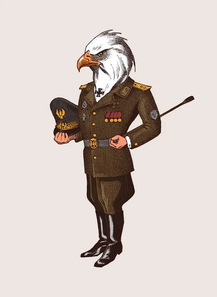 Carácter águila calva. Hombre con uniforme militar. Dibujado a mano Grabado viejo boceto monocromo. Criatura ficticia mítica en estilo hipster . — Archivo Imágenes Vectoriales