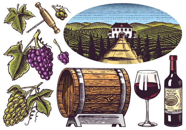Vineyard and Wine Set. Grapes and wooden barrel. Vine plantation for bottle labels. Engraved landscape. Hand drawn vintage sketch for alcohol poster, bar and restaurant menu. — Stock Vector