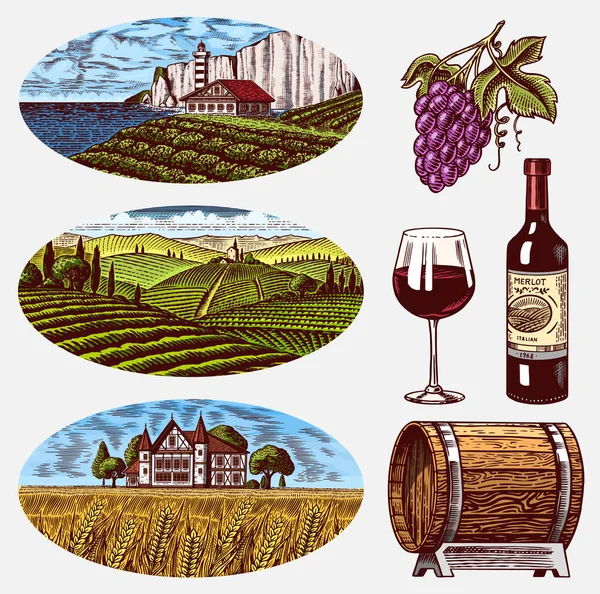 Vinhedos e Conjunto de Vinhos. Uvas e barril de madeira. Plantação de videira para rótulos de garrafas. Campos rurais Wheat Hills. Paisagem gravada. Desenho vintage desenhado à mão para cartaz de álcool, bar e restaurante menu — Vetor de Stock