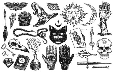Mistik sihirli boho elementleri. Büyücülük astrolojik seti. Dövme için esrarengiz simya eskizi. El falı ve kafatası, ölü bir adamın eli. Oymalı Oyun Kartları ve Kara Kedi.
