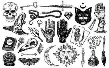 Mistik sihirli boho elementleri. Büyücülük voodoo astrolojik seti. Dövme için esrarengiz simya eskizi. El falı ve kafatası, ölü bir adamın eli. Oymalı Oyun Kartları ve Kara Kedi.