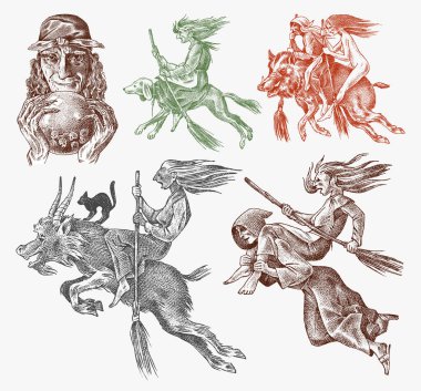 Cadı süpürge, köpek, keçi ve yaban domuzuyla uçar. Eski efsanevi sihir karakterleri. Oymalı monokrom çizimi. El yapımı eski bir Fortune çizimi.