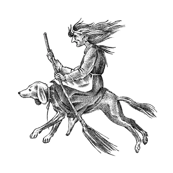 La strega vola con una scopa e un cane. Antico mitico personaggio magico. Schizzo monocromatico inciso. Illustrazione Fortuna vintage disegnata a mano . — Vettoriale Stock