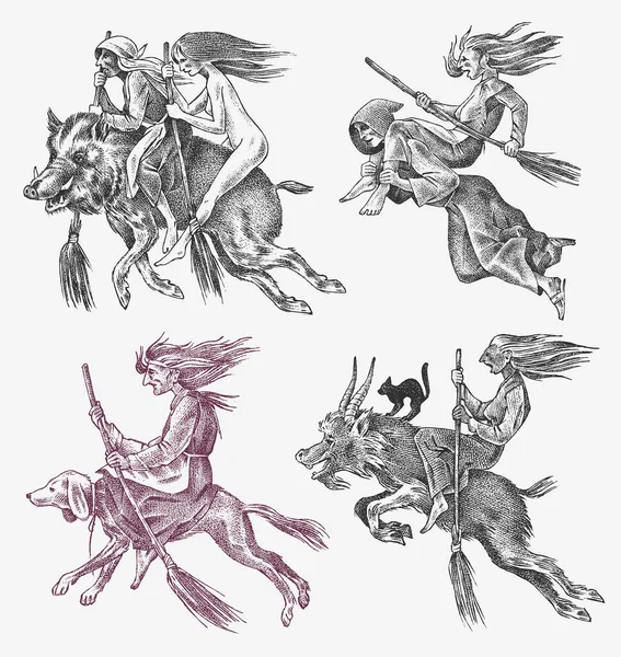 Cadı süpürge, köpek, keçi ve yaban domuzuyla uçar. Eski efsanevi sihir karakterleri. Oymalı monokrom çizimi. El yapımı eski bir Fortune çizimi. — Stok Vektör
