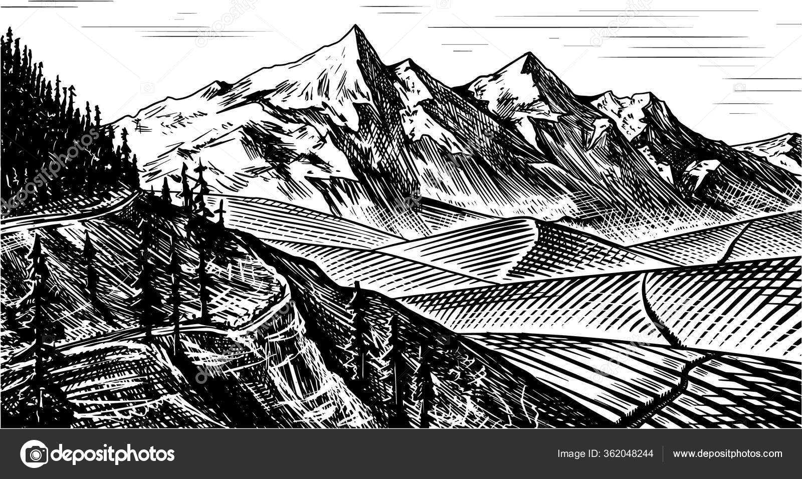 Fondo de paisaje de montaña. Picos alpinos y bosque. Montaña Vintage.  Concepto de viaje. Bosquejo grabado a mano para carteles al aire libre,  pancartas de escalada, logotipo o insignia . Vector de, image size:1600x956