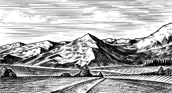 Fondo de paisaje de montaña. Picos alpinos. Vintage Monte y valle. Concepto de viaje. Bosquejo grabado a mano para carteles al aire libre, pancartas de escalada, logotipo o insignia . — Archivo Imágenes Vectoriales